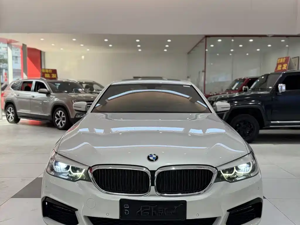BMW 5 SERIES
