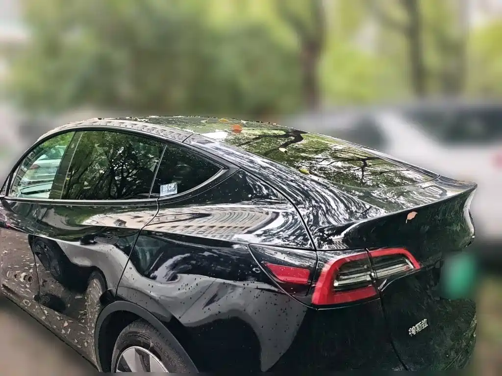 Tesla Model Y — миниатюра 4