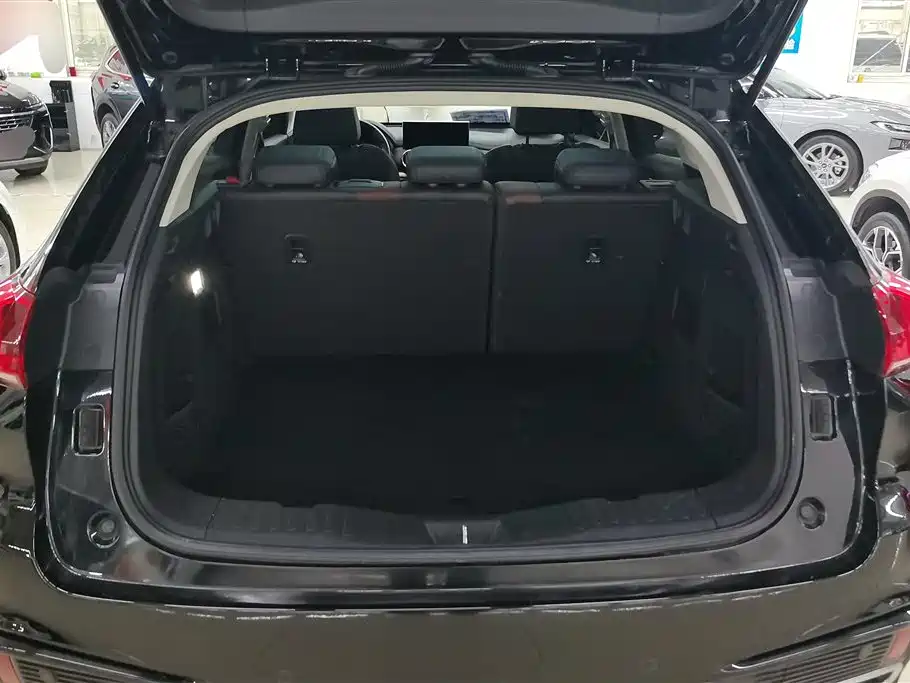 WEI PAI WEI BRAND VV5