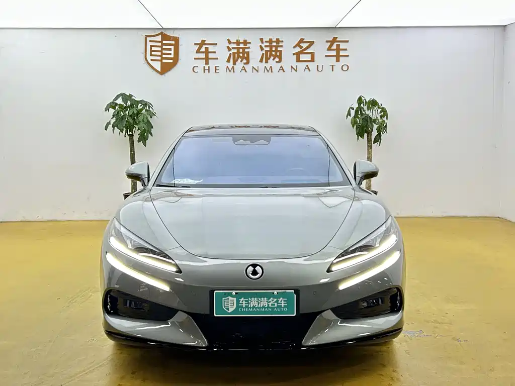 Denza Denza Z9GT — миниатюра 2