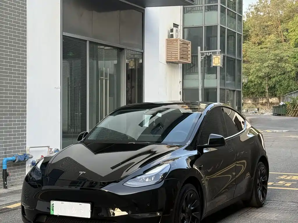 Tesla Model Y — миниатюра 12