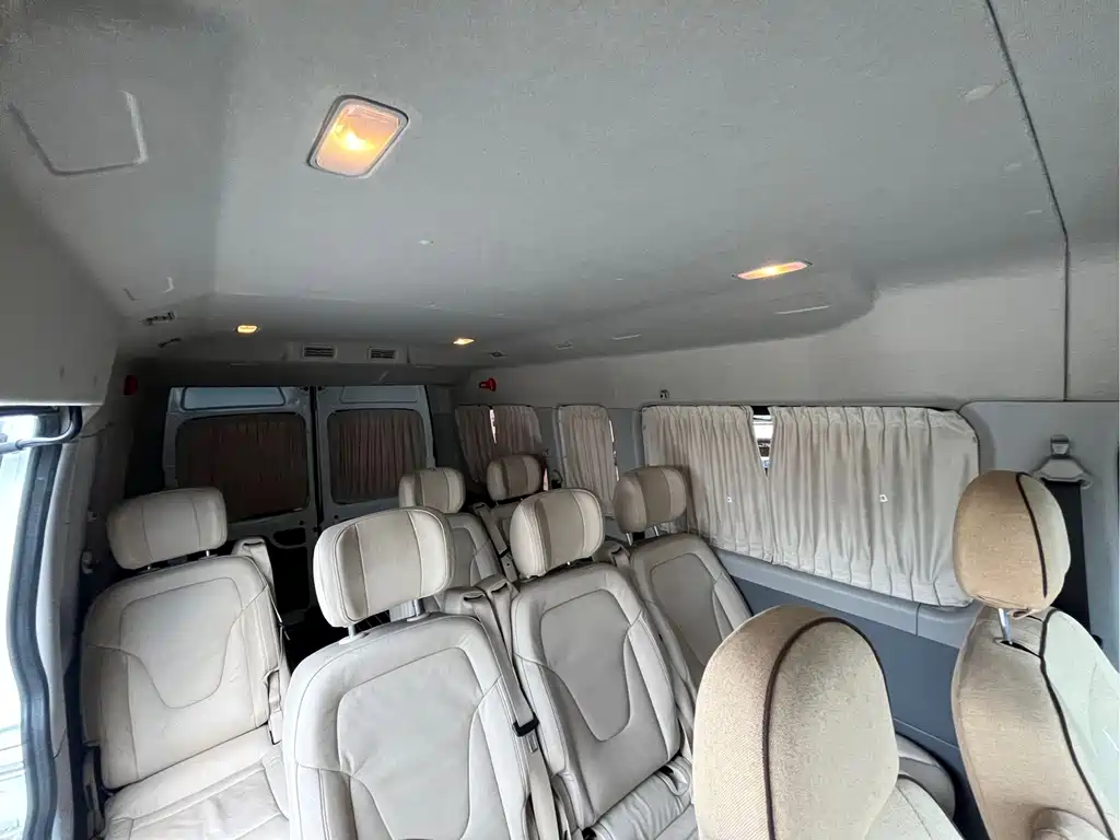MAXUS V80 — миниатюра 12