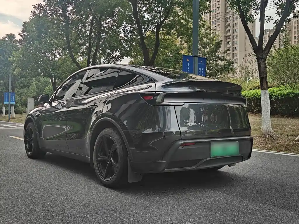 Tesla Model Y — миниатюра 9