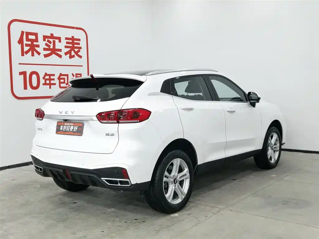 WEI PAI WEI BRAND VV5