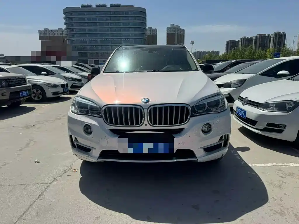 BMW X5 (Import) — миниатюра 2