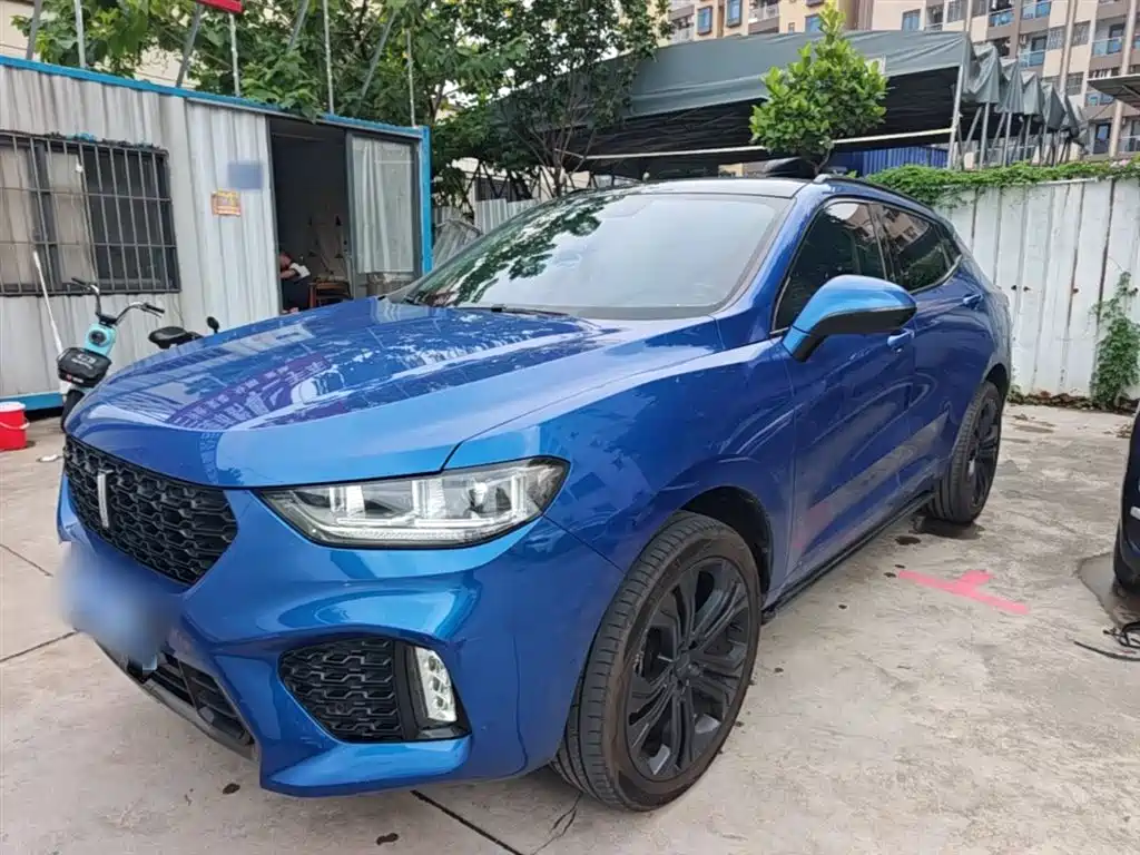 Купить Wey Wey VV5