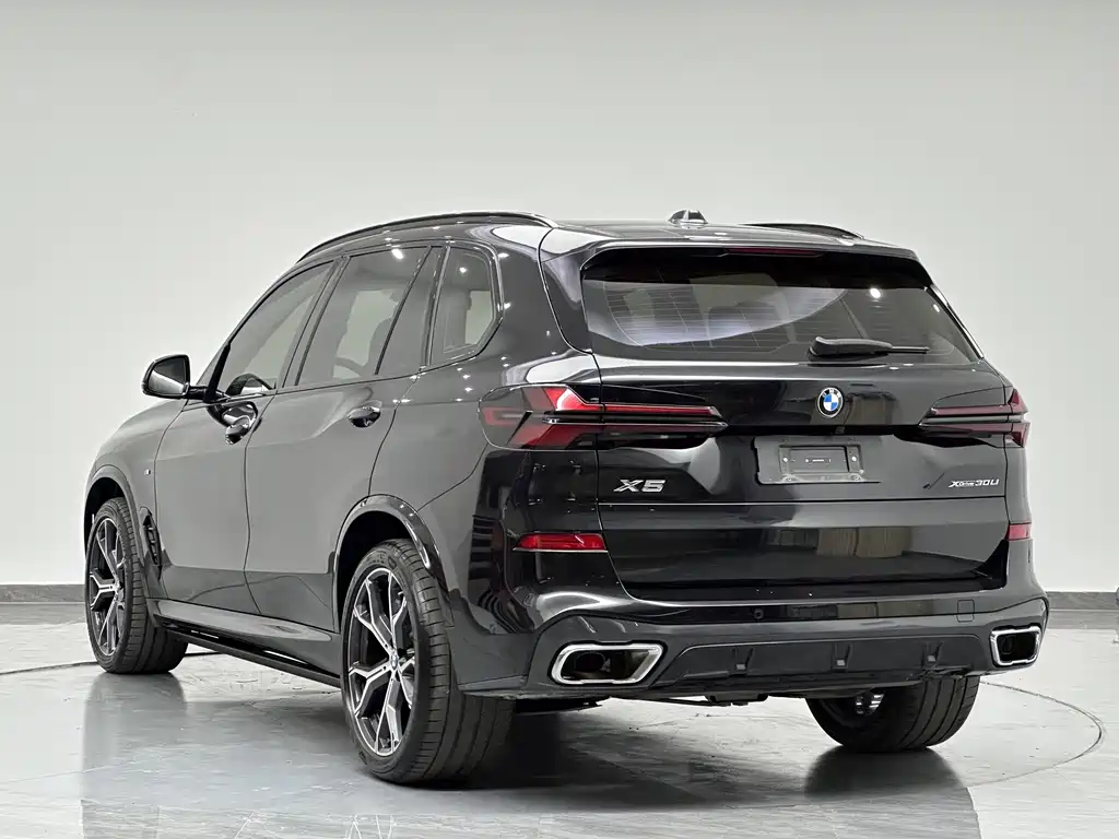 BMW X5 — миниатюра 6