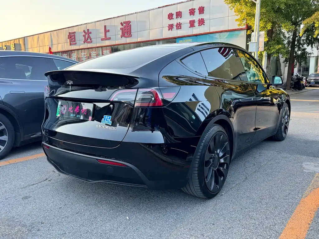 Tesla Model Y — миниатюра 9