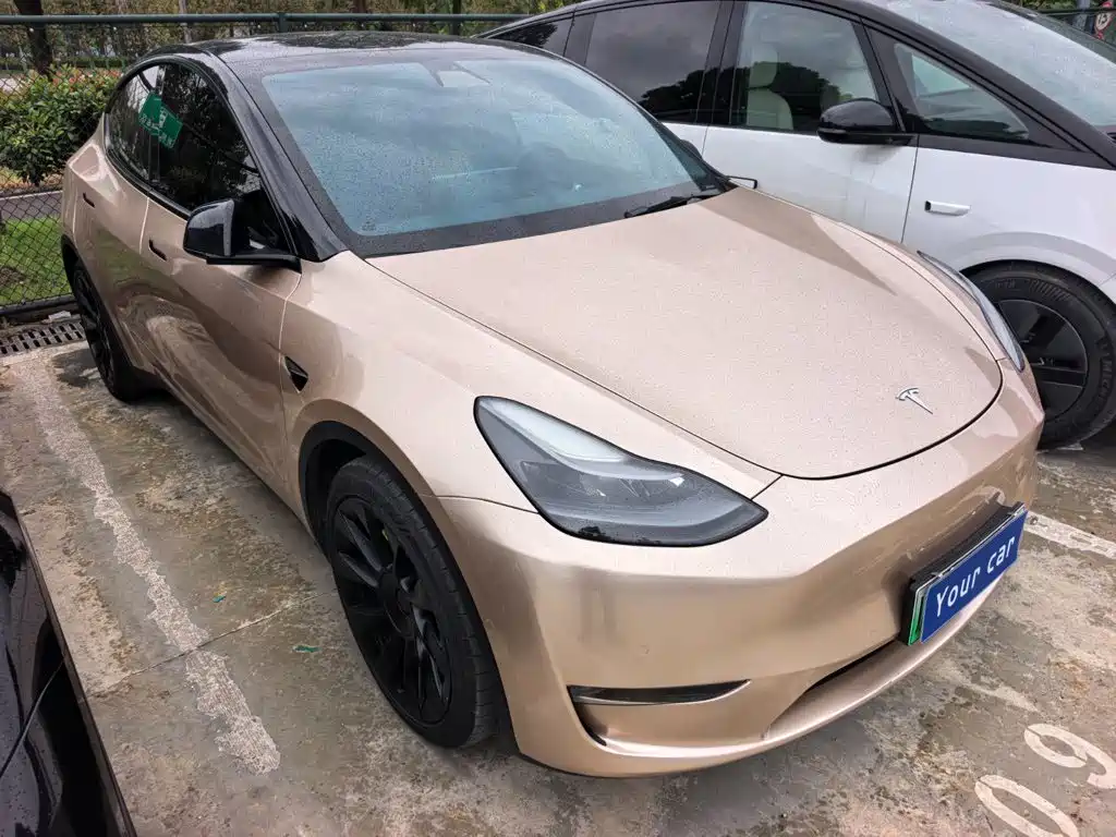 Tesla Model Y — миниатюра 3