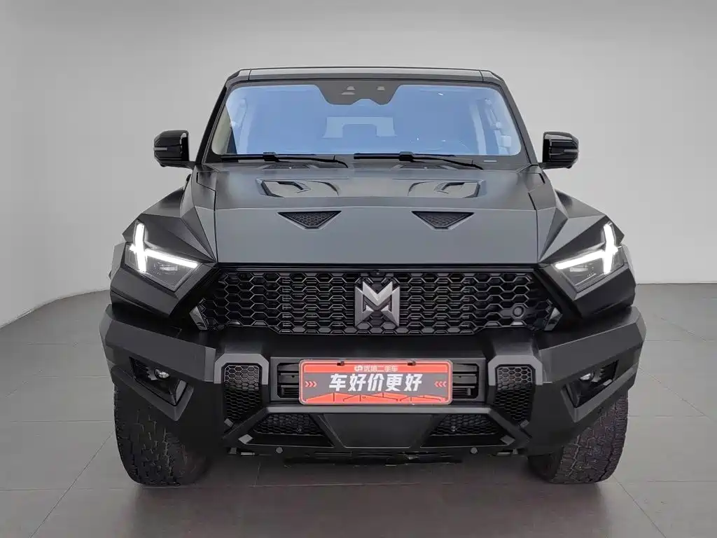Mengshi Mengshi 917 — миниатюра 3