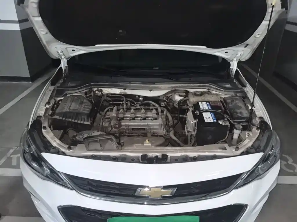 Chevrolet Cavalier — миниатюра 16
