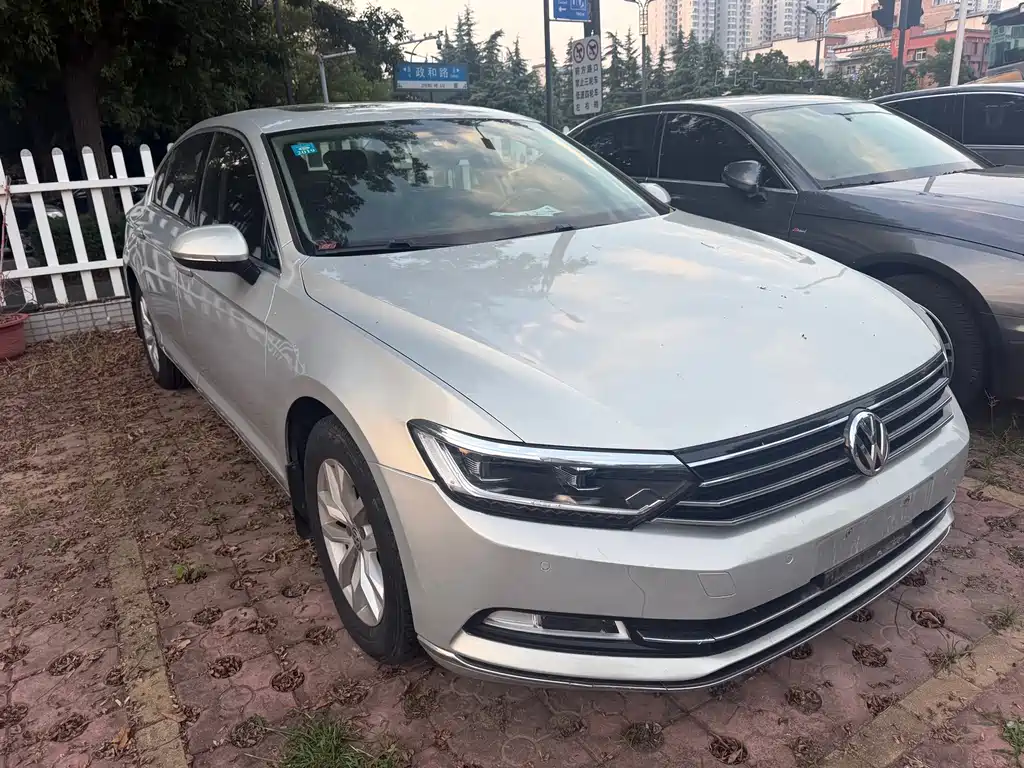 Volkswagen Magotan — миниатюра 2