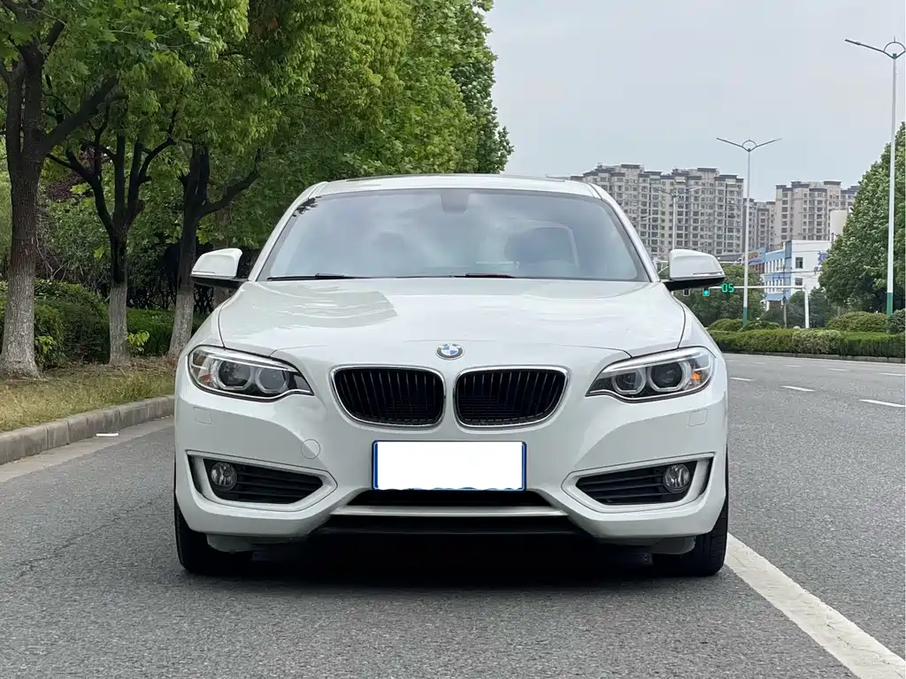 BMW 2 Series 2 2014 220i Lead