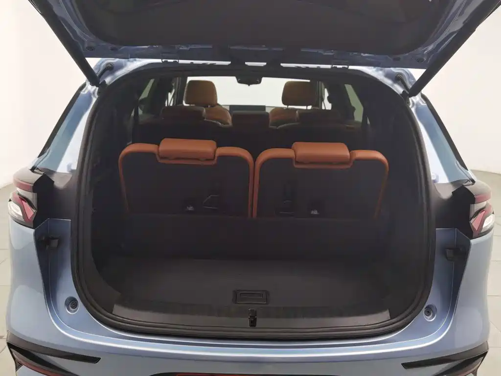 BYD Tang New Energy — миниатюра 16