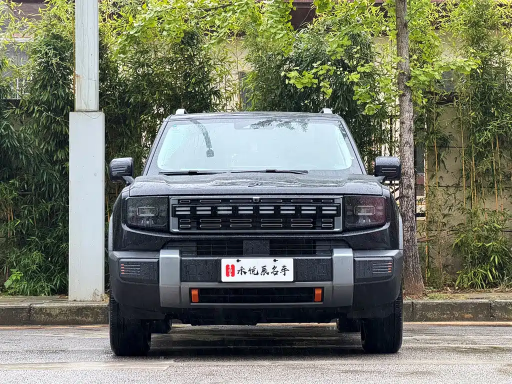 Shanhai Shanhai T1 — миниатюра 2