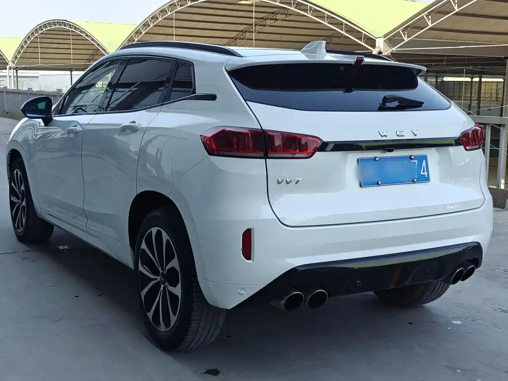 WEI PAI WEI BRAND VV7