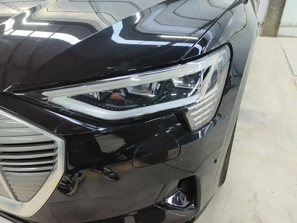 Audi e-tron (Import) — миниатюра 24