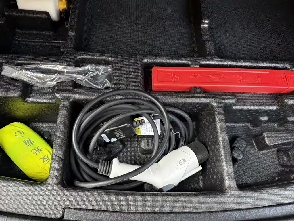 BYD SONGJIANG NEW ENERGY