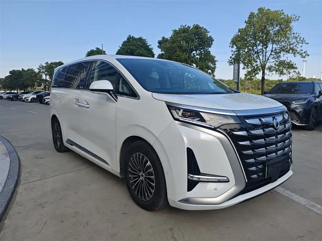 Denza Denza D9 — миниатюра 6