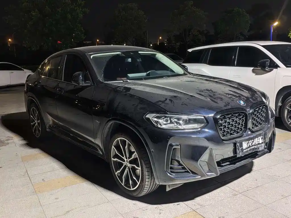 BMW X4 — миниатюра 2