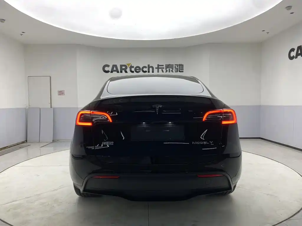 Tesla Model Y — миниатюра 6