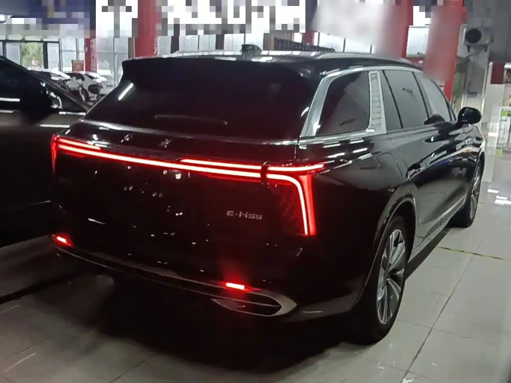 Hongqi E-HS9 2021 510km мест