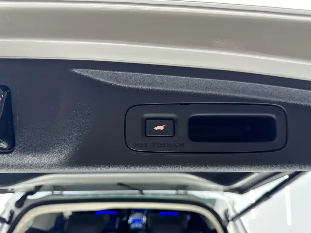 Honda Elysion — миниатюра 17
