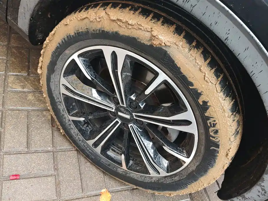 WEI PAI WEI BRAND VV6