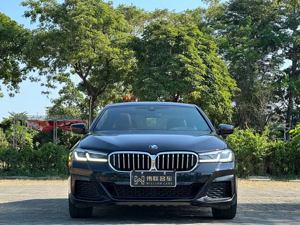 BMW 5 Series — миниатюра 2