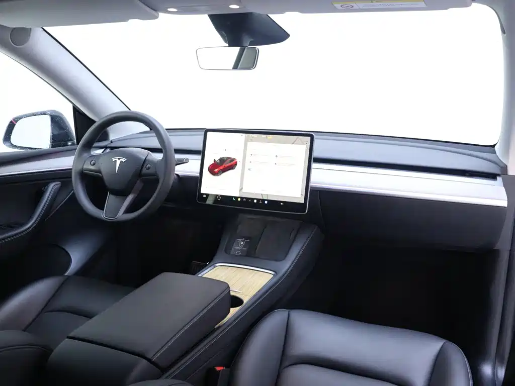 Tesla Model Y — миниатюра 20