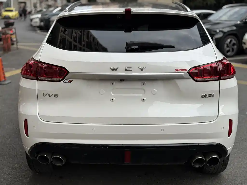 WEI PAI WEI BRAND VV5