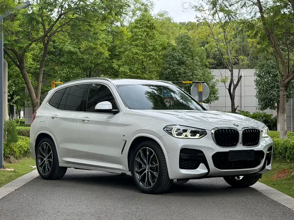 BMW X3 2020 xDrive30i Lead M Sport