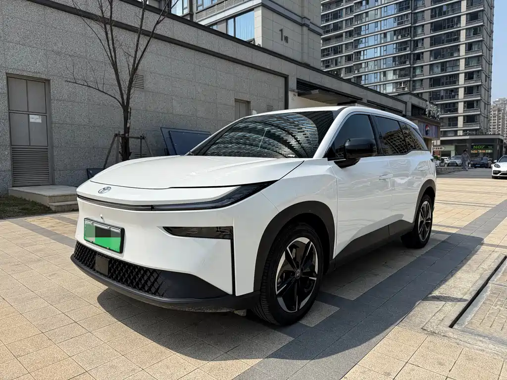 TOYOTA PLATINUM WISDOM 3X