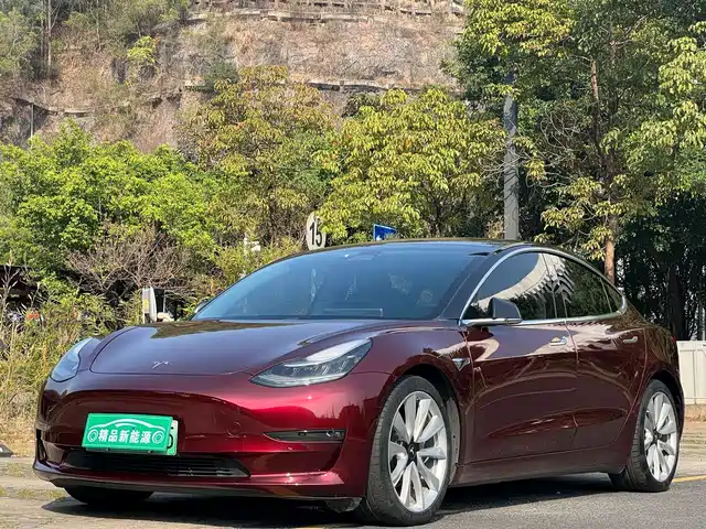 TESLA MODEL 3 2019
