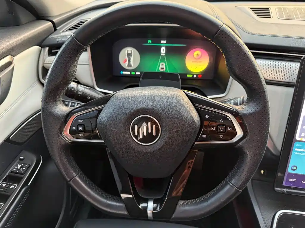 WM Motor EX5 — миниатюра 14