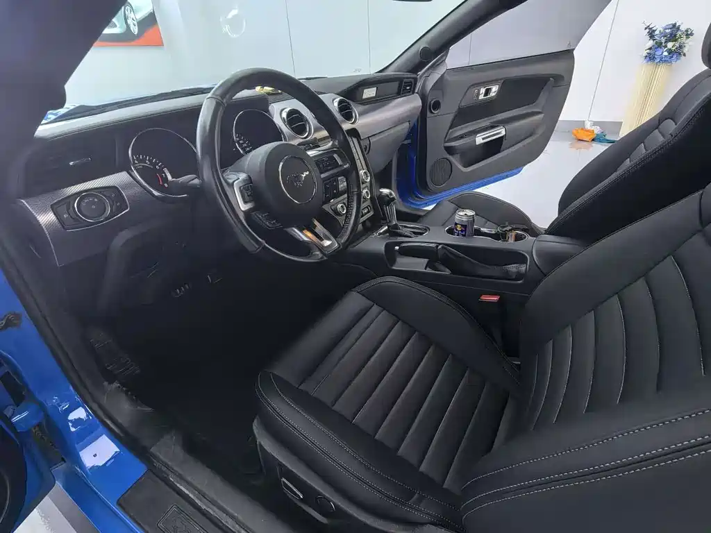 Ford Mustang — миниатюра 13