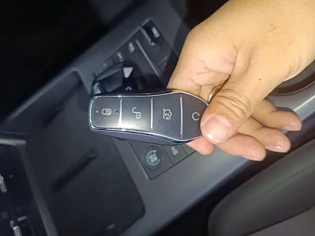 BYD Qin Plus PLUS 2025 DM-i Smart Drive 55KM Lead