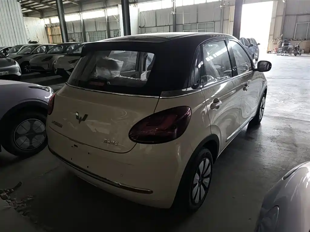 Wuling Binguo 2025 333km Enjoy