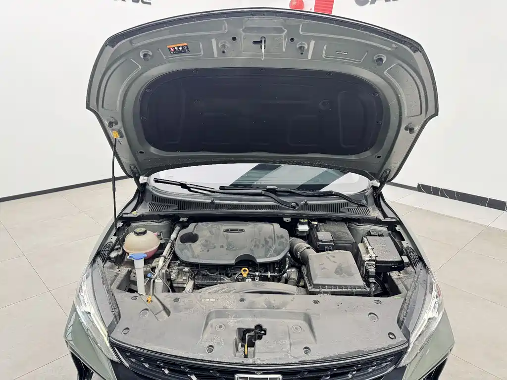 GEELY AUTOMOBILE BINRUI