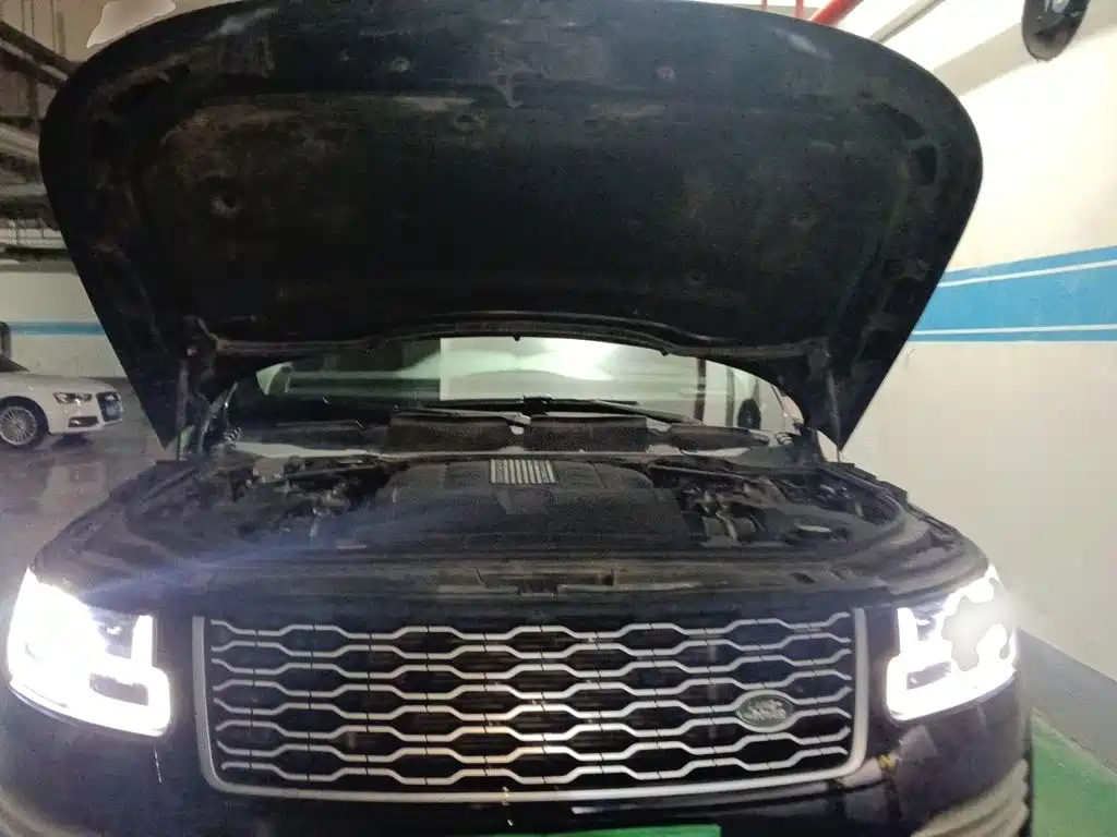 Land Rover Range Rover — миниатюра 11