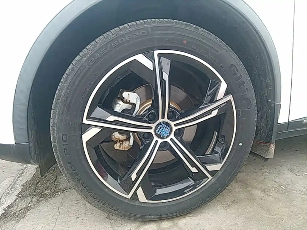 BYD Tang New Energy — миниатюра 23