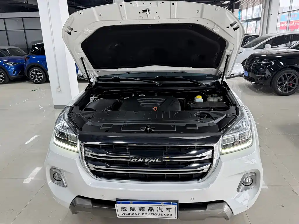 HAVAL H9