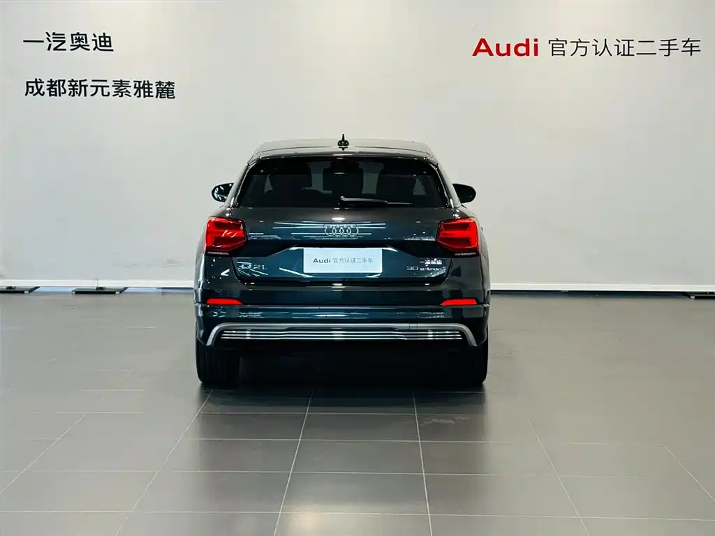 Audi Q2L e-tron 2019 Q2L e-tron Smart