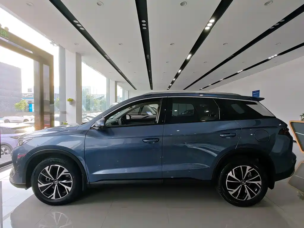 BYD Pro New Energy - фото 8