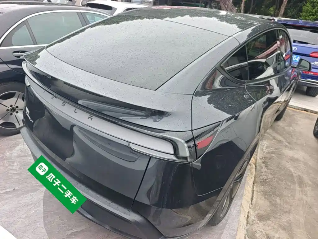 Tesla Model Y — миниатюра 7