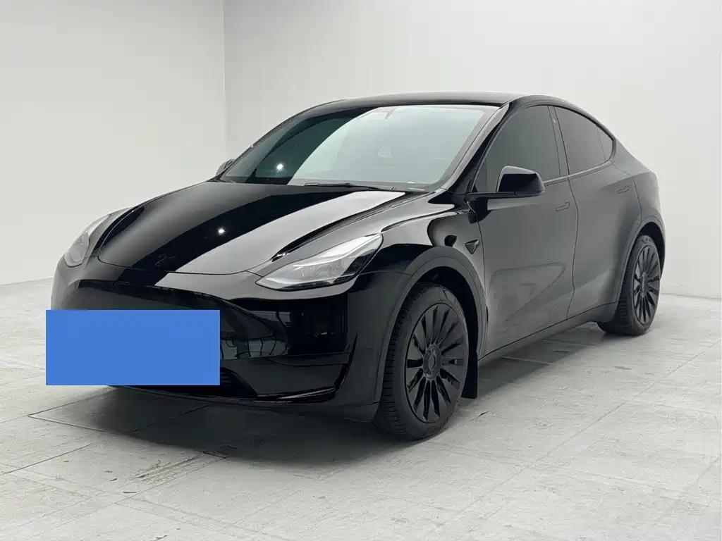 Tesla Model Y — миниатюра 2