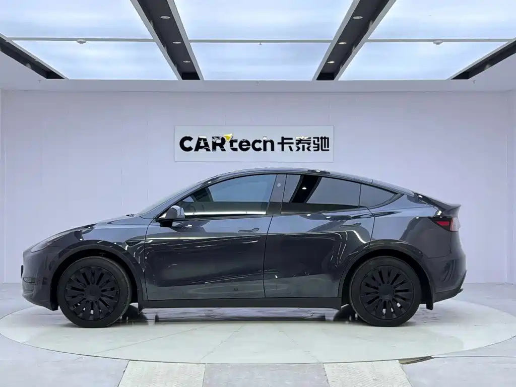 Tesla Model Y — миниатюра 2