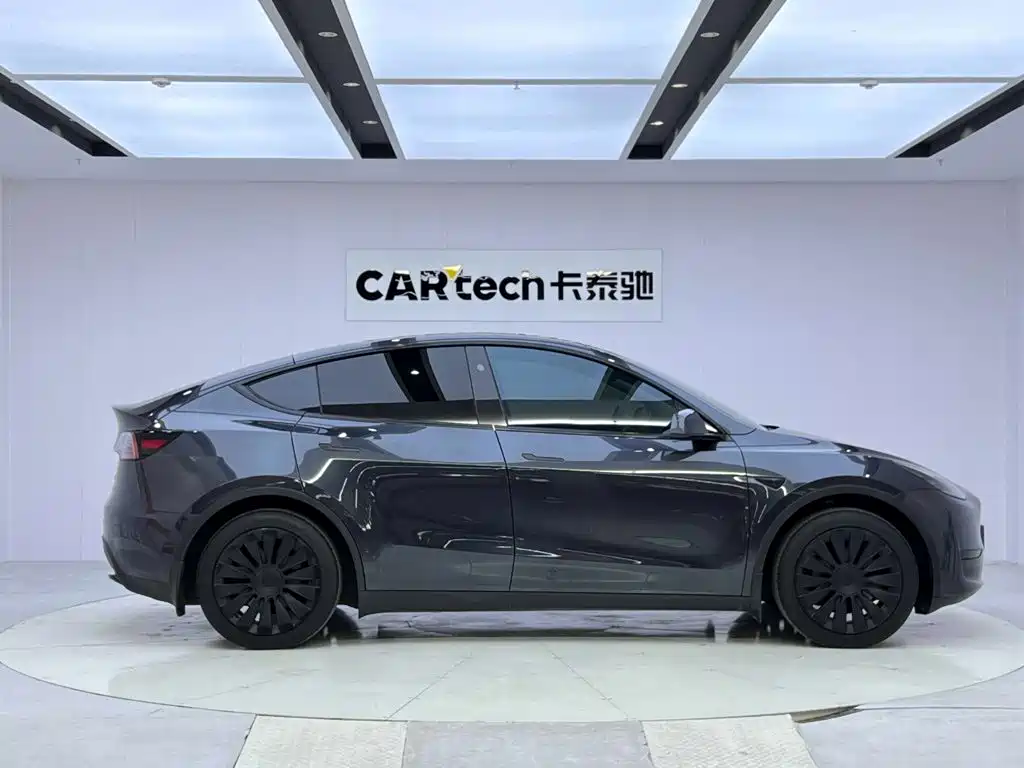 Tesla Model Y — миниатюра 6
