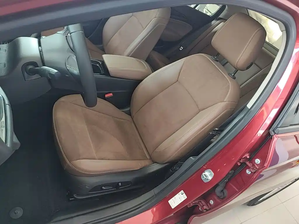 Buick Regal — миниатюра 15