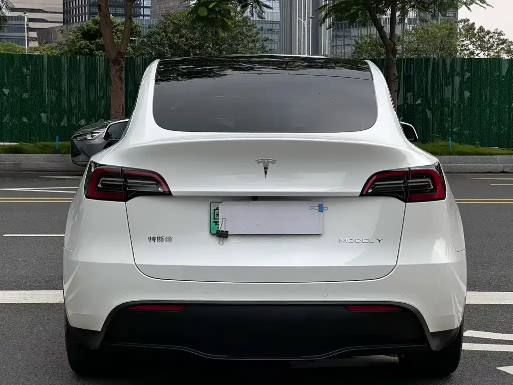 Tesla Model Y — миниатюра 8